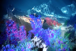 underwater forest coral reef 3D model