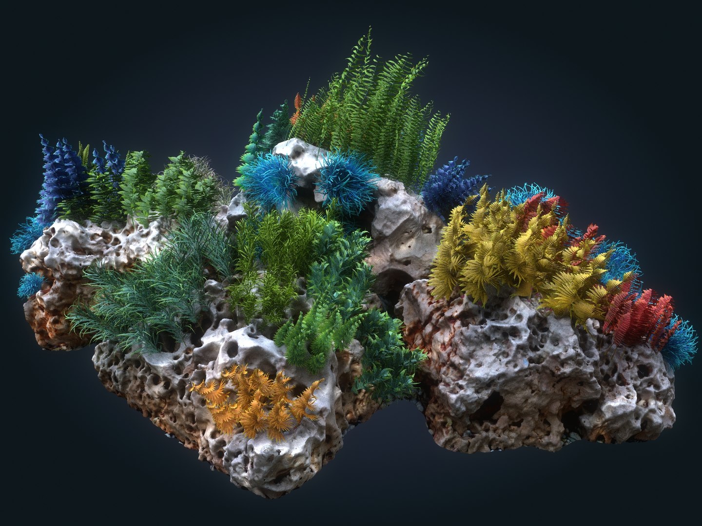 Underwater Forest Coral Reef 3D Model - TurboSquid 1631862