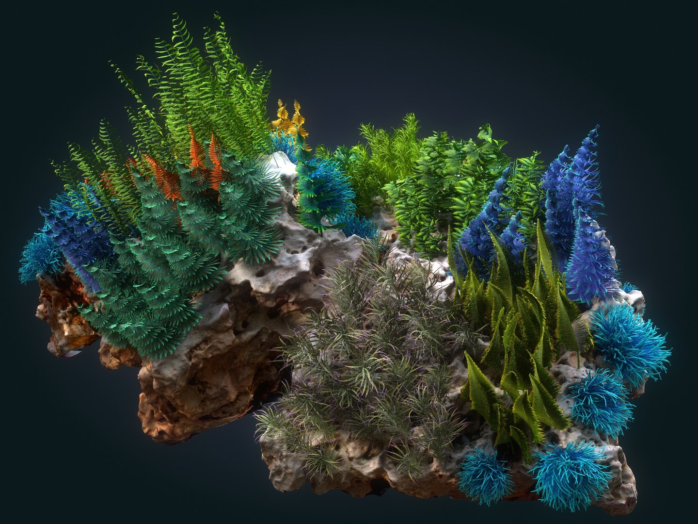 Underwater Forest Coral Reef 3D Model - TurboSquid 1631862