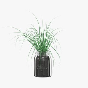 3D model chives glass jar
