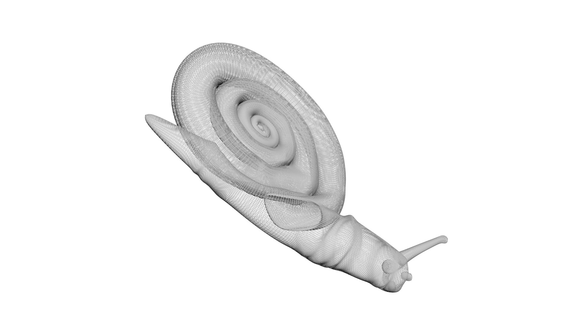 Snail 3D https://p.turbosquid.com/ts-thumb/39/fRtSsW/D9/snail19/jpg/1655964385/1920x1080/fit_q87/f36616c276c2965144a73c339ea4fb1f52a3cf8c/snail19.jpg