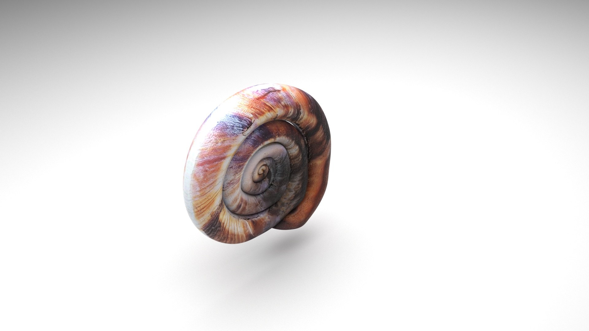 Snail 3D https://p.turbosquid.com/ts-thumb/39/fRtSsW/El/snail5/jpg/1655964378/1920x1080/fit_q87/c05a8414d41cfceff0d80140fcaa692ed8ede0db/snail5.jpg