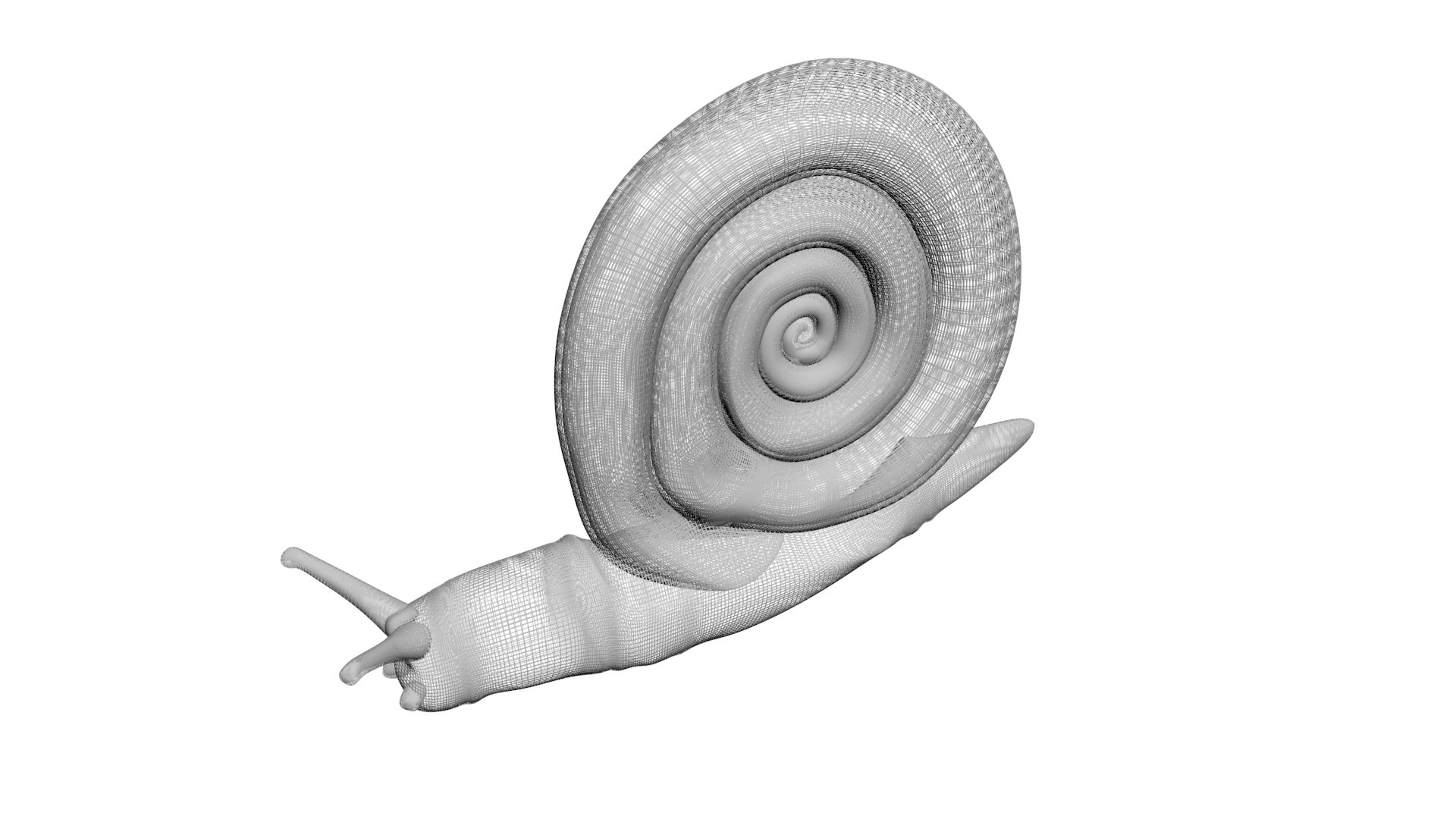 Snail 3D https://p.turbosquid.com/ts-thumb/39/fRtSsW/P0/snail18/jpg/1655964384/1920x1080/fit_q87/ae952119dc732a46781f7c258c2ae20a75f2ae64/snail18.jpg