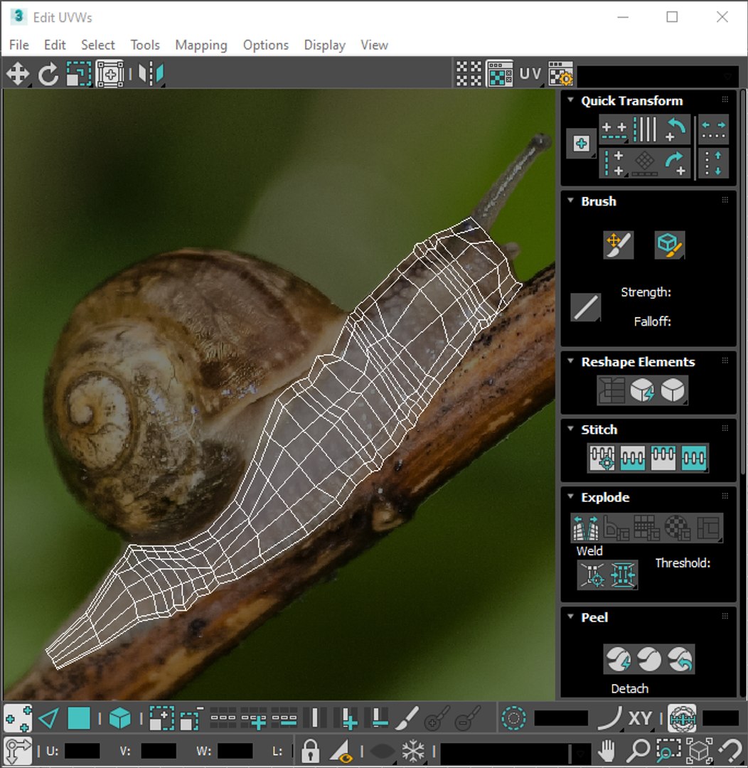 Snail 3D https://p.turbosquid.com/ts-thumb/39/fRtSsW/Rq/screenshot20220623093959/png/1655964423/1920x1080/fit_q87/d58ee8b9d3899dd66eeb646886eb5439f7fe3f4a/screenshot20220623093959.jpg
