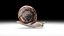 Snail