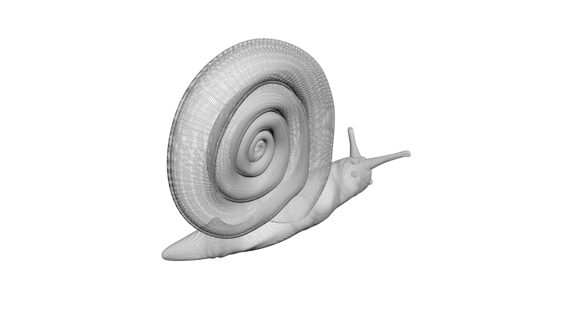 Snail 3D https://p.turbosquid.com/ts-thumb/39/fRtSsW/jG/snail16/jpg/1655964384/1920x1080/fit_q87/23db272e5a6477ad0803e5c3fb6ce034683e7f97/snail16.jpg