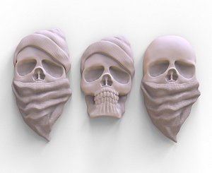Skull 3D print model