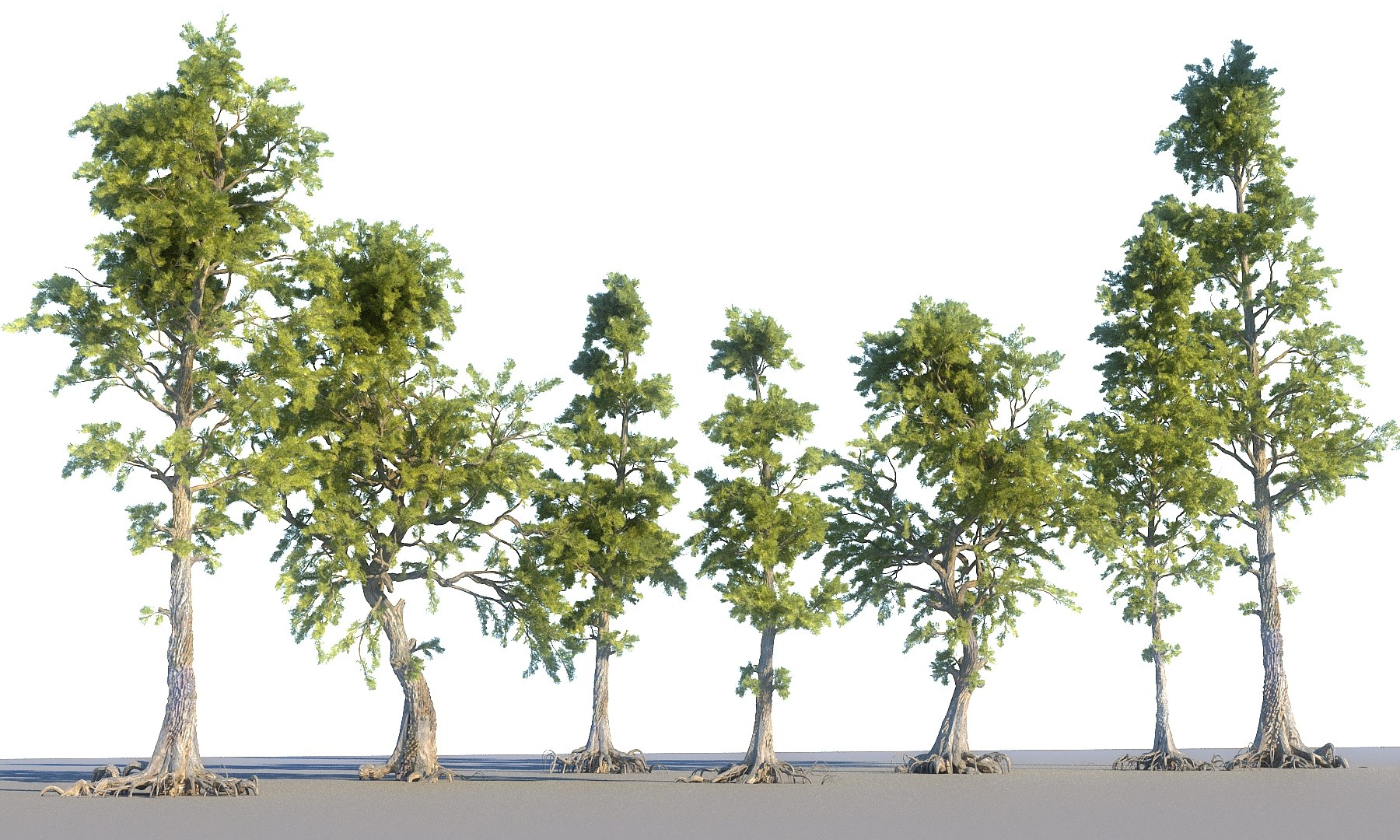 3D pine tree pack 7 https://p.turbosquid.com/ts-thumb/39/ksBKgK/3DRuW6LD/77777777/jpg/1546989178/1920x1080/fit_q87/6dffee441884077f5848da7ef7a4cd1a00ca8c6d/77777777.jpg