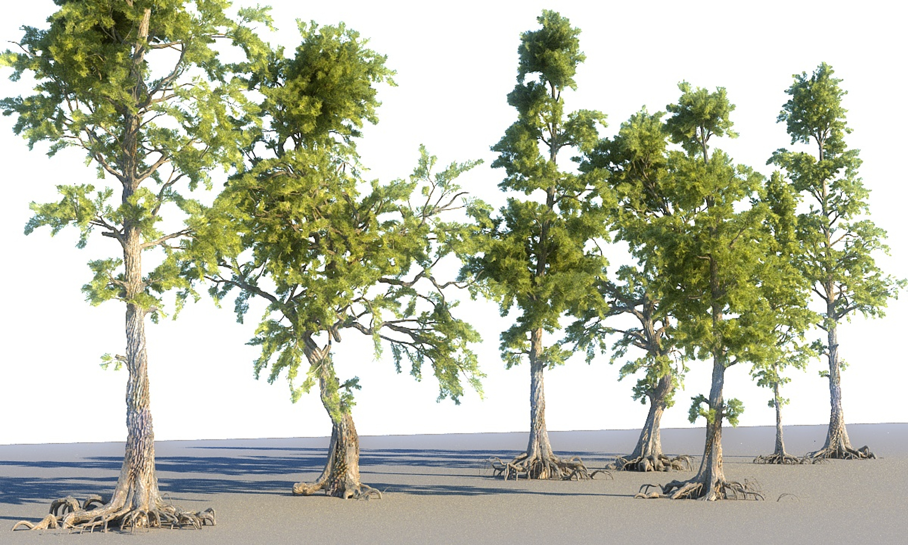 3D pine tree pack 7 https://p.turbosquid.com/ts-thumb/39/ksBKgK/nZJC59OG/0000/jpg/1546987910/1920x1080/turn_fit_q99/c82e5a1b5ee9eb9f306b9a676dbb36d75fc702eb/0000-1.jpg
