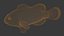 Ocellaris clownfish