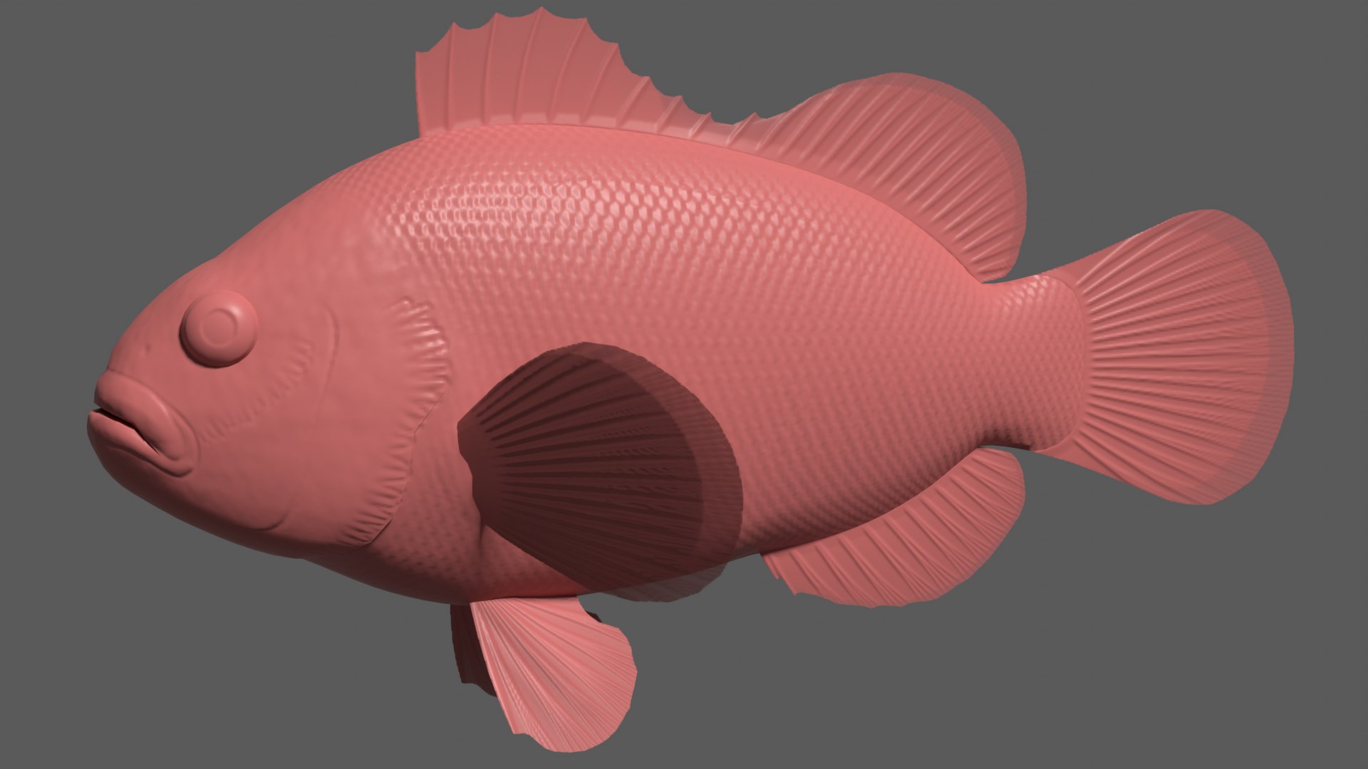 3d clown anemonefish model https://p.turbosquid.com/ts-thumb/39/m6MnBL/Am/clownafbump/png/1643071927/1920x1080/fit_q87/f21bbad174a8643c2c61fa7728329ca28f757760/clownafbump.jpg