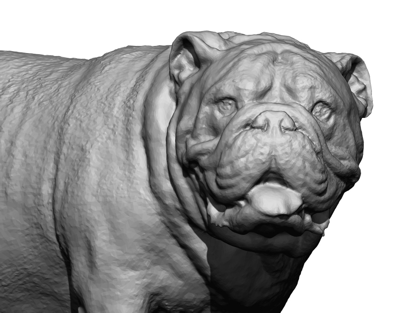 dog scanned photogrammetry model https://p.turbosquid.com/ts-thumb/39/oiJt3c/K6mijpnp/15/jpg/1542986185/1920x1080/fit_q87/bc52b42027cfca902353ec552299097d744215f7/15.jpg