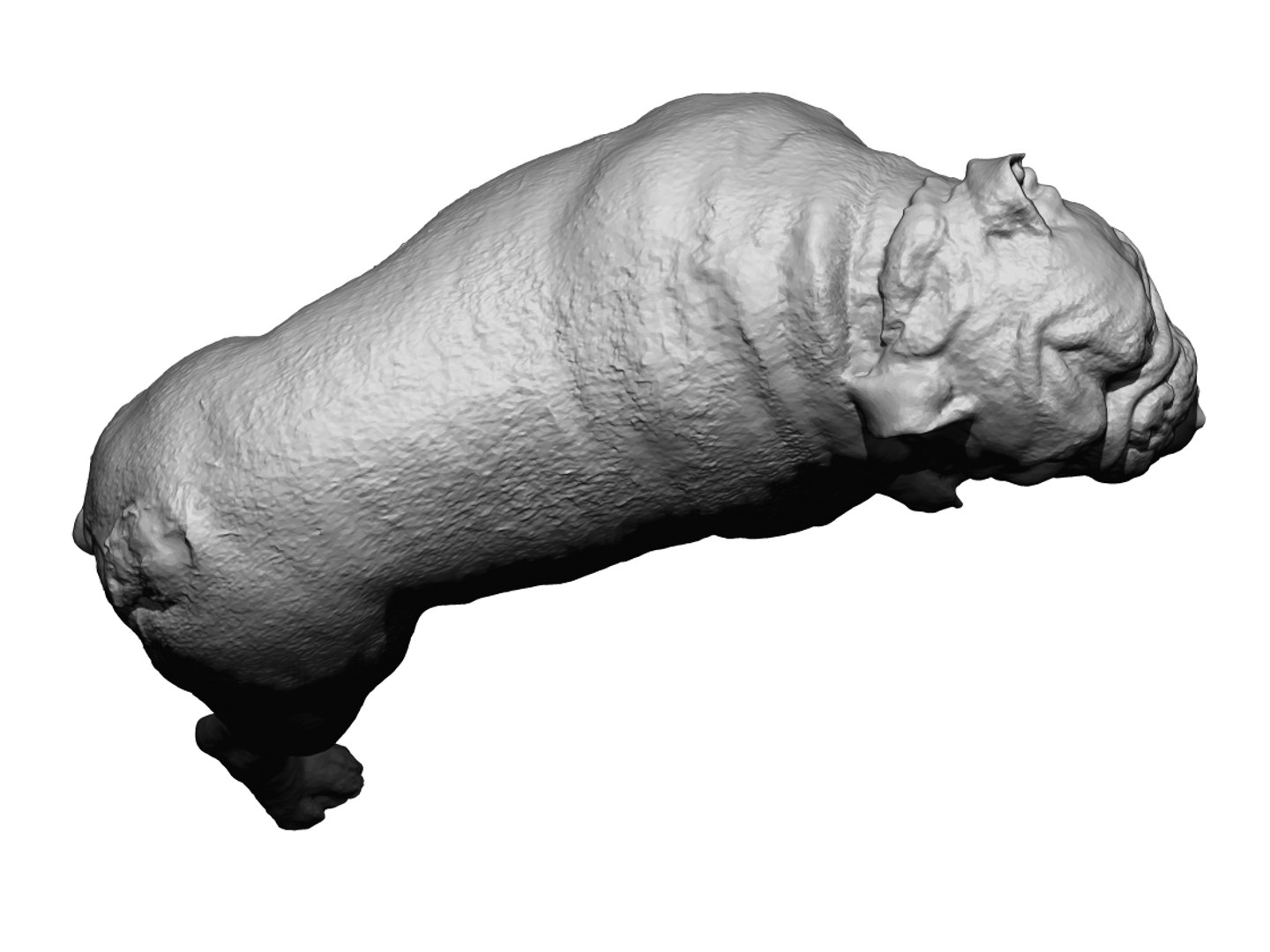 dog scanned photogrammetry model https://p.turbosquid.com/ts-thumb/39/oiJt3c/MPP0ziXa/11/jpg/1542986134/1920x1080/fit_q87/e5969397187e05a67f640a962ca784b0b046ce5f/11.jpg