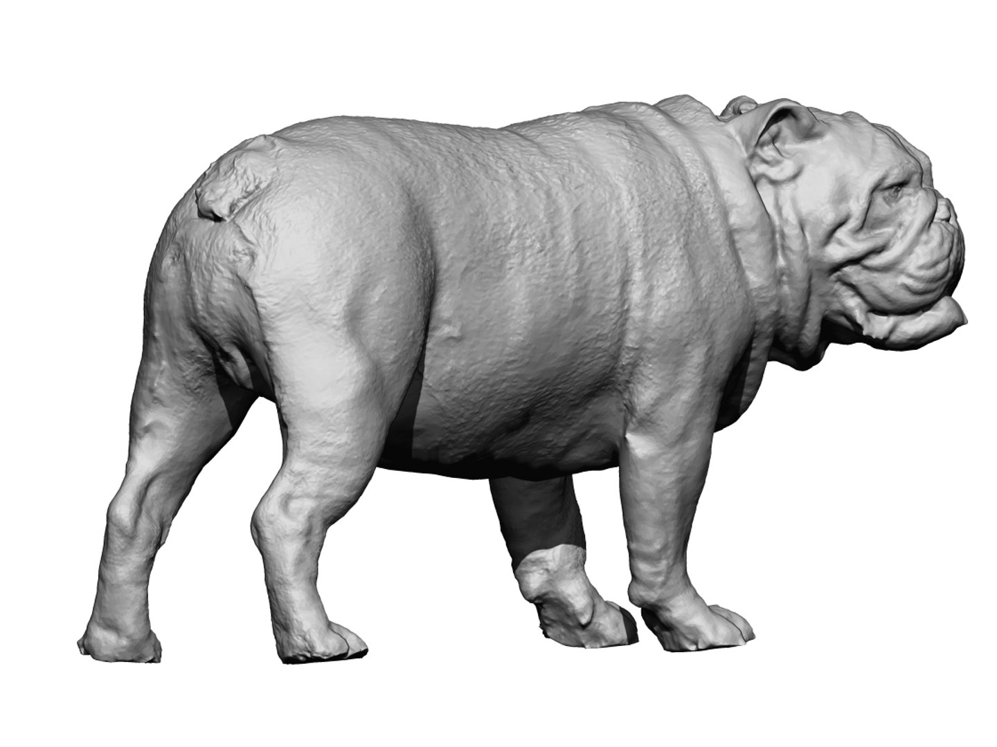 dog scanned photogrammetry model https://p.turbosquid.com/ts-thumb/39/oiJt3c/PnKcuqhm/10/jpg/1542986123/1920x1080/fit_q87/c7319f4d7ebab264c60988a18251375762434e57/10.jpg
