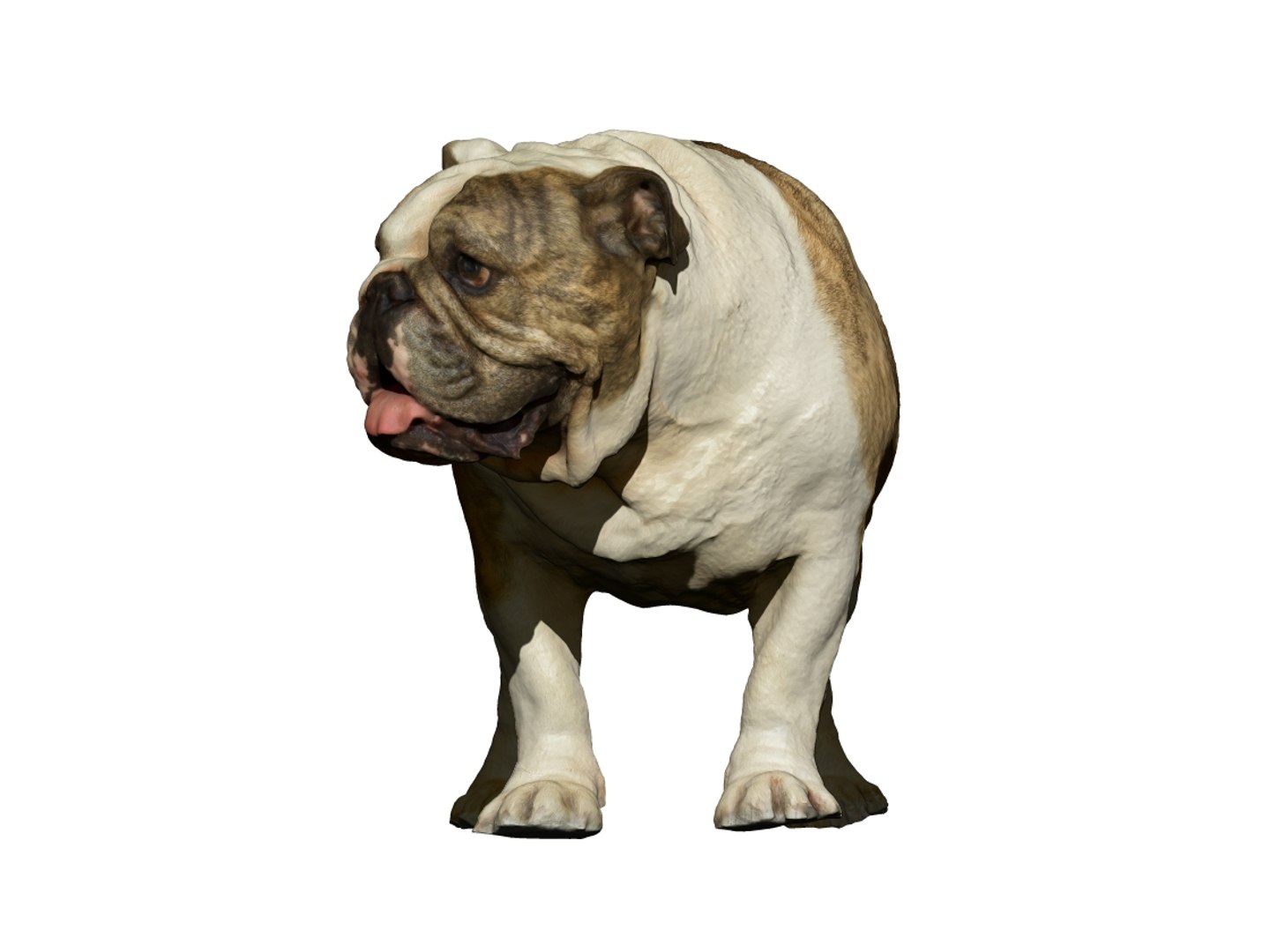 dog scanned photogrammetry model https://p.turbosquid.com/ts-thumb/39/oiJt3c/T4InNiNN/4/jpg/1542986042/1920x1080/fit_q87/df7b19900593cee3eb6c67b7c2b82ae13b1ce61e/4.jpg