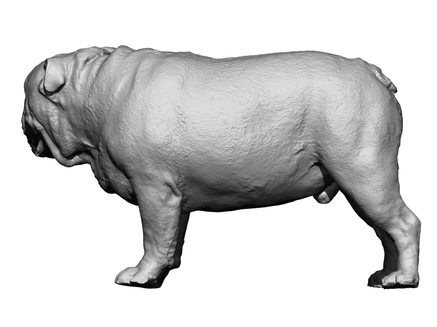 dog scanned photogrammetry model https://p.turbosquid.com/ts-thumb/39/oiJt3c/cWUpIGyA/6/jpg/1542986073/1920x1080/fit_q87/17204b0c0804c60953b99d68dedc3e5d562b4639/6.jpg