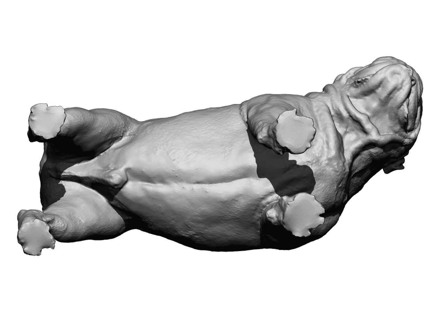 dog scanned photogrammetry model https://p.turbosquid.com/ts-thumb/39/oiJt3c/o9cfh90z/14/jpg/1542986172/1920x1080/fit_q87/4591ccfdea48eab8f5f1f7f0eef2aebad61f3327/14.jpg