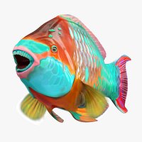 Rainbow Parrotfish Marine Rigged For Maya