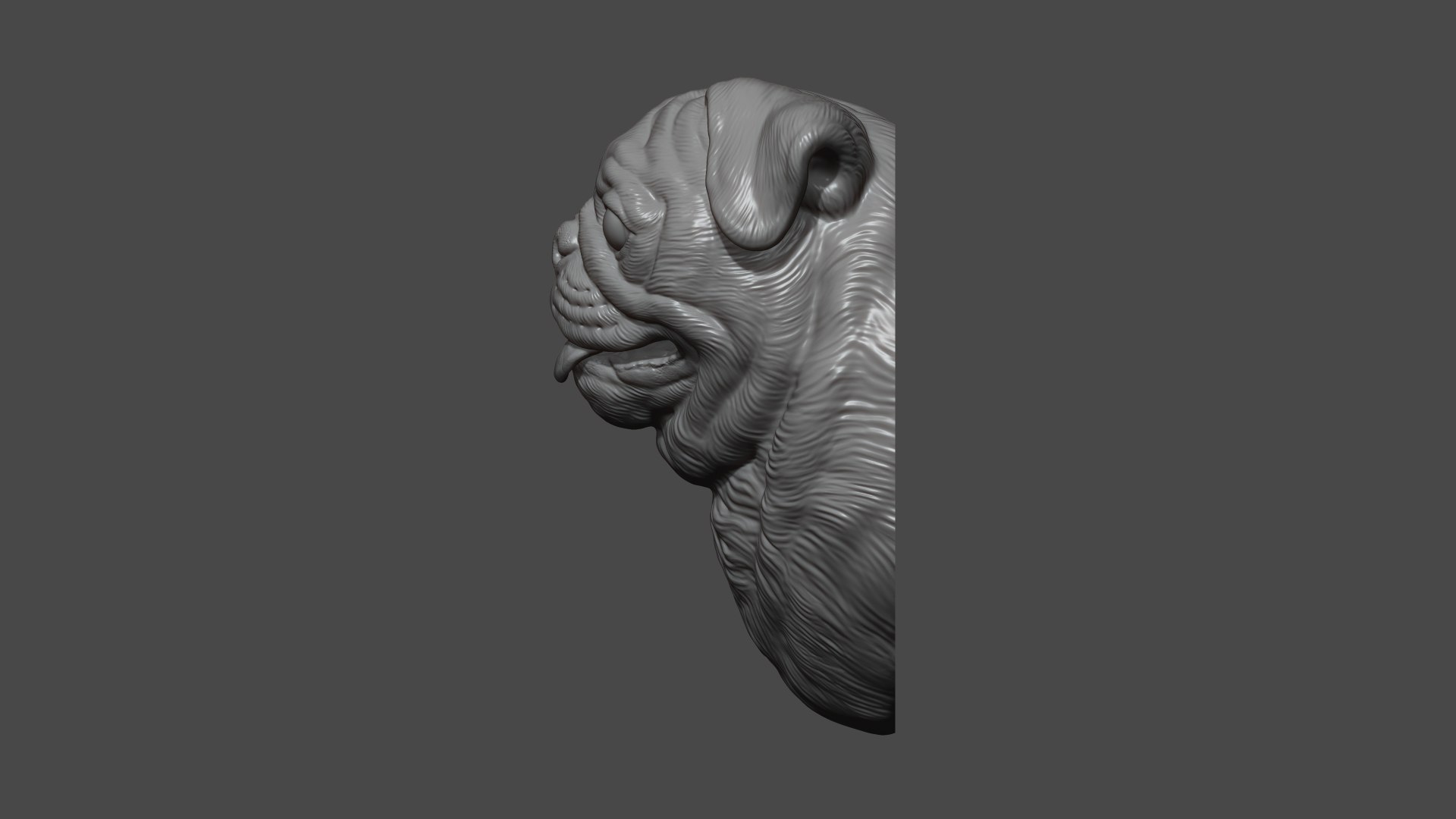Pug bust version 1 3D model https://p.turbosquid.com/ts-thumb/3A/1xVk6o/69/5/jpg/1721629256/1920x1080/fit_q87/5ce5c49d7f9d869b8a8164b9c952ab5aae8d9ec6/5.jpg