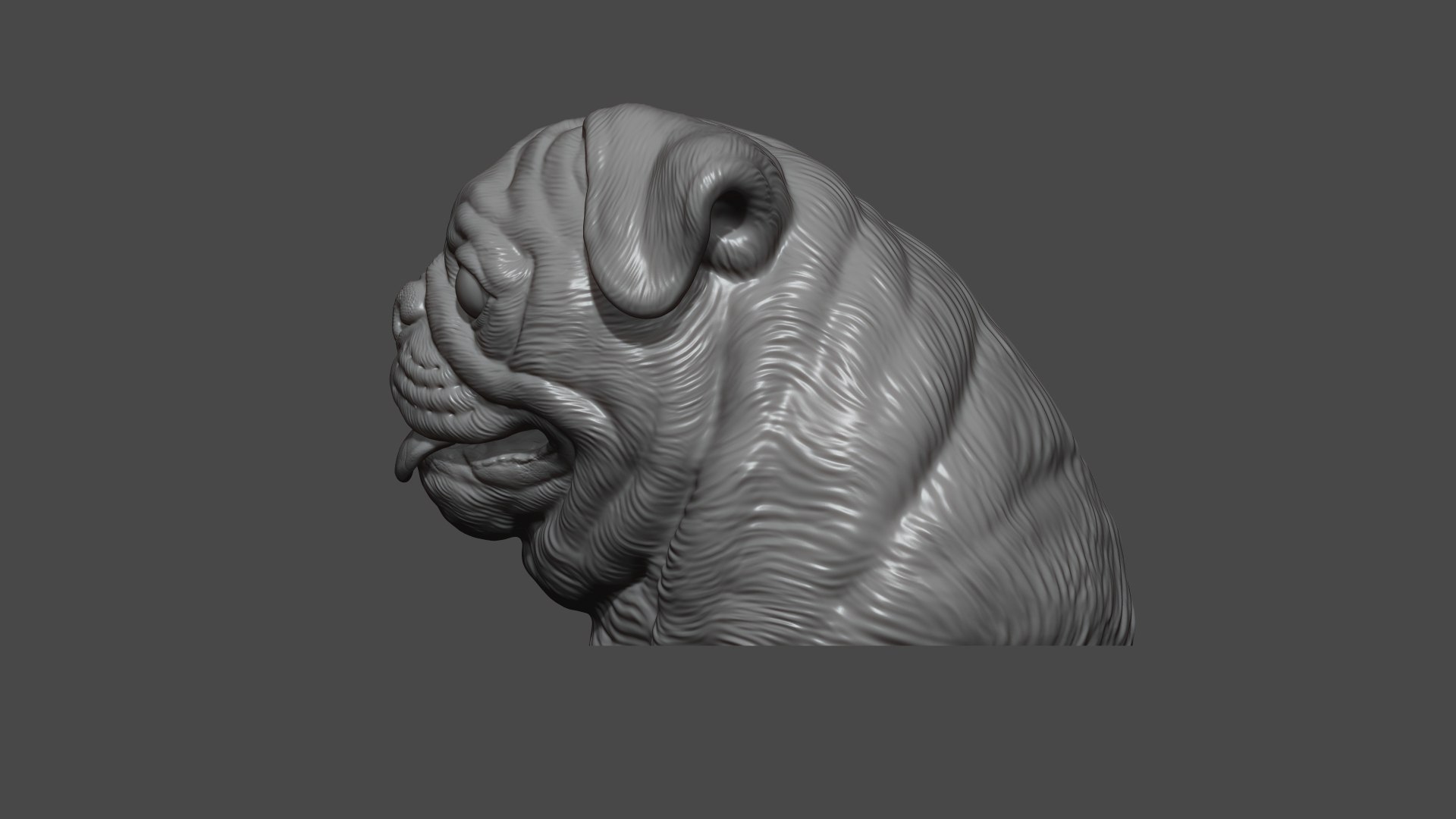 Pug bust version 1 3D model https://p.turbosquid.com/ts-thumb/3A/1xVk6o/M5/16/jpg/1721629269/1920x1080/fit_q87/6472a4abd3ae6028f9727acb35748c3beb8c27aa/16.jpg