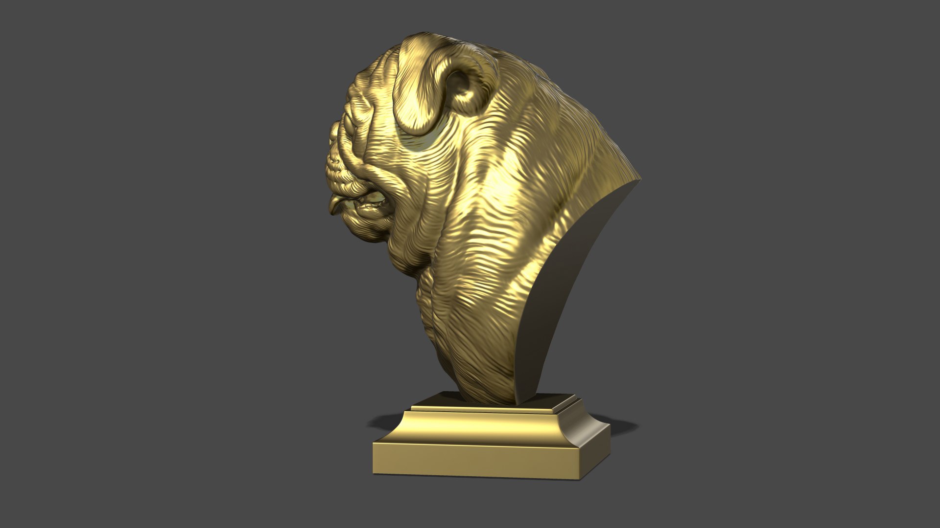 Pug bust version 1 3D model https://p.turbosquid.com/ts-thumb/3A/1xVk6o/RG/32/jpg/1721629276/1920x1080/fit_q87/15c4484b595d00432709b5f32c9f1ba4bc9124f3/32.jpg