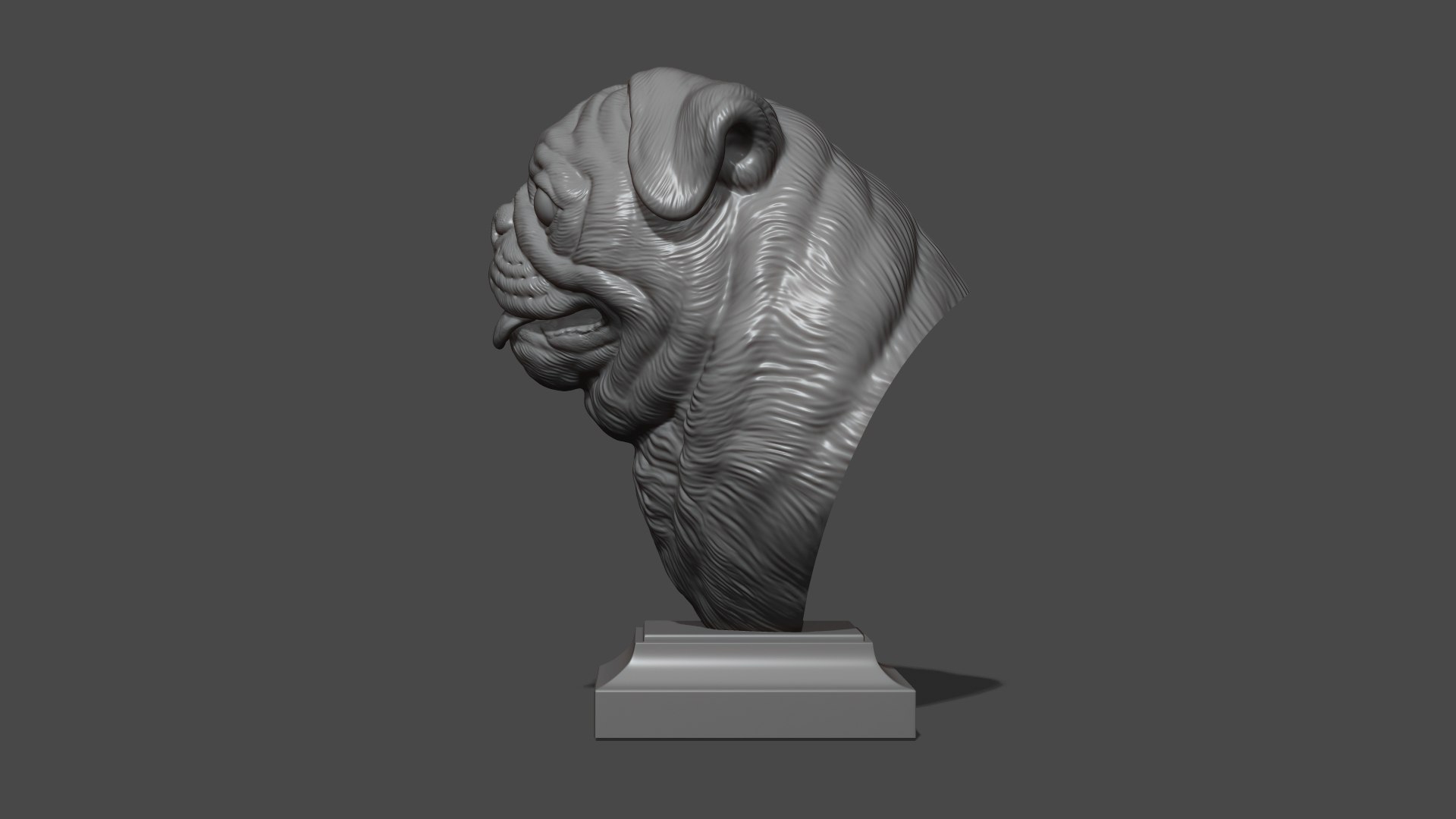 Pug bust version 1 3D model https://p.turbosquid.com/ts-thumb/3A/1xVk6o/Wi/27/jpg/1721629274/1920x1080/fit_q87/ff0826cd430f894cc646346e6c83d130ff0eaafc/27.jpg
