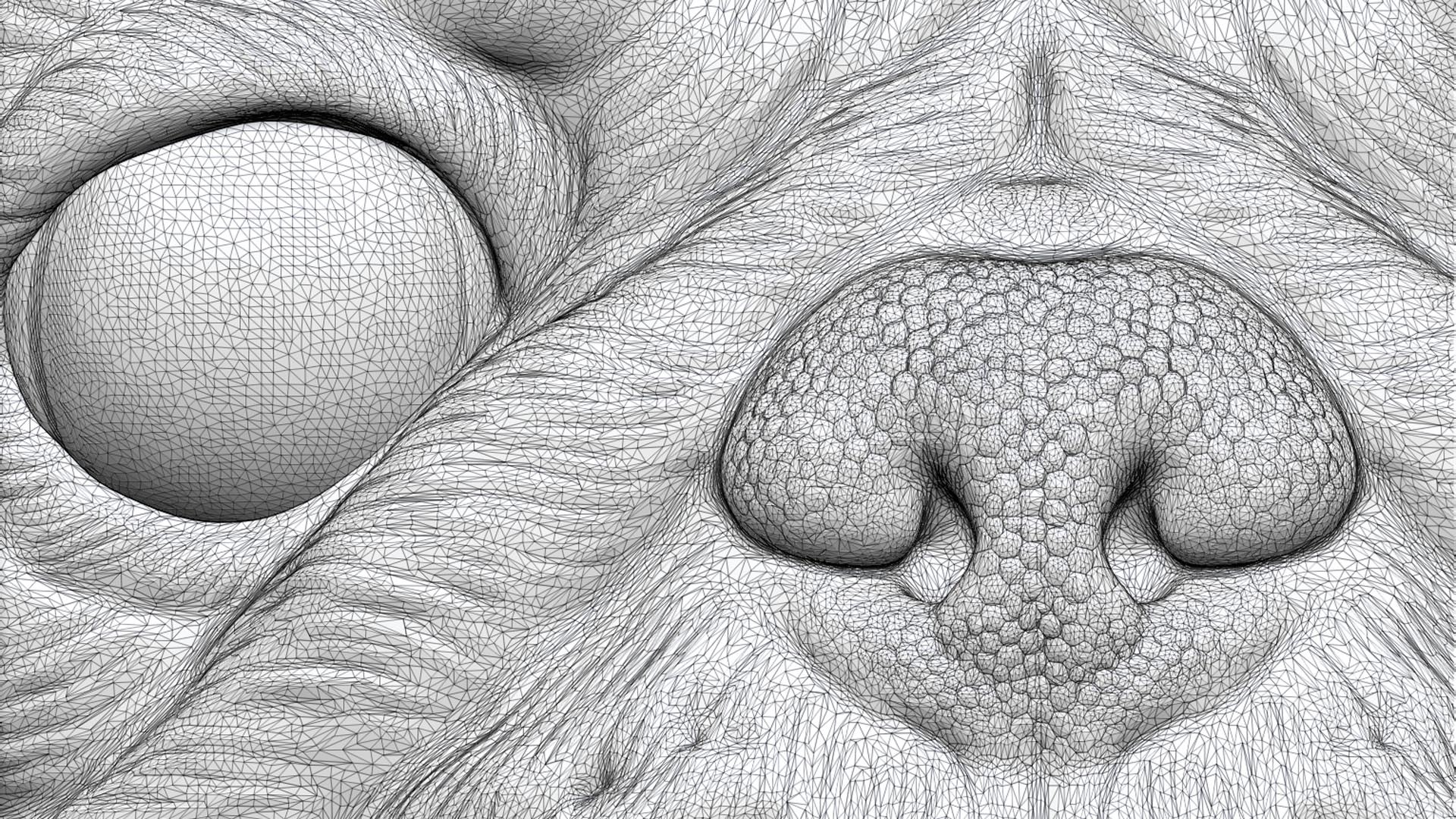 Pug bust version 1 3D model https://p.turbosquid.com/ts-thumb/3A/1xVk6o/YS/50/jpg/1721629276/1920x1080/fit_q87/c421b65d47058d7845217eb644fa0b4f710a3df4/50.jpg