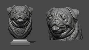 Pug bust version 1 3D model
