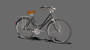 heavy duty bicycle
