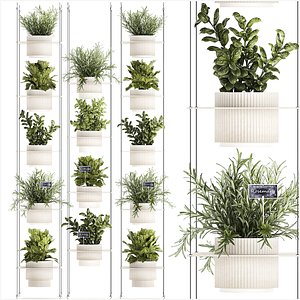 Kitchen mini vegetable garden Rosemary Basil pot 1413 model