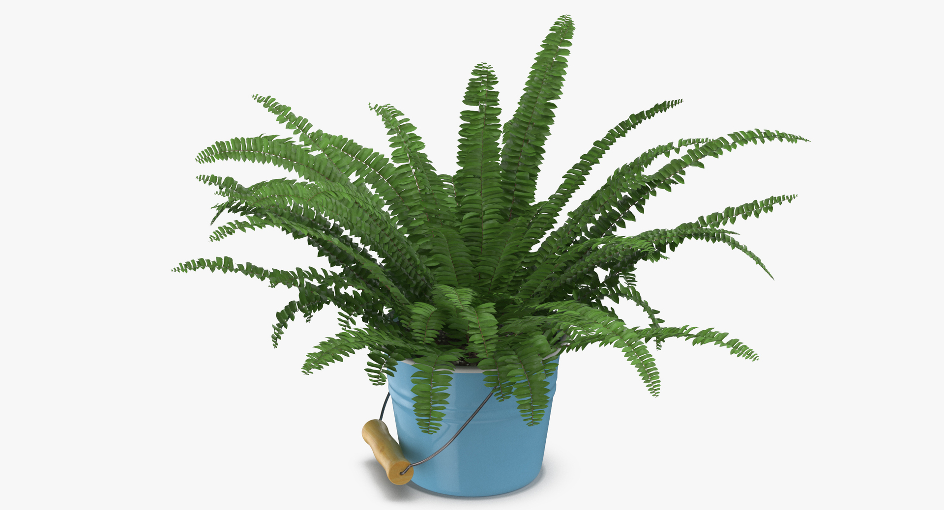 house plant 3D model https://p.turbosquid.com/ts-thumb/3A/Pe9GuF/fIrjZzDk/0000/jpg/1544188252/1920x1080/turn_fit_q99/d753953ac966e9d4ef1035bfc9a094d232eeb50a/0000-1.jpg