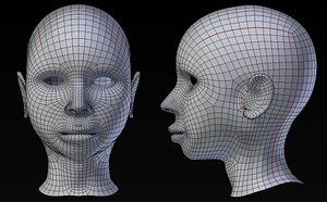 Female Head Base Mesh