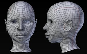 Female Head Base Mesh