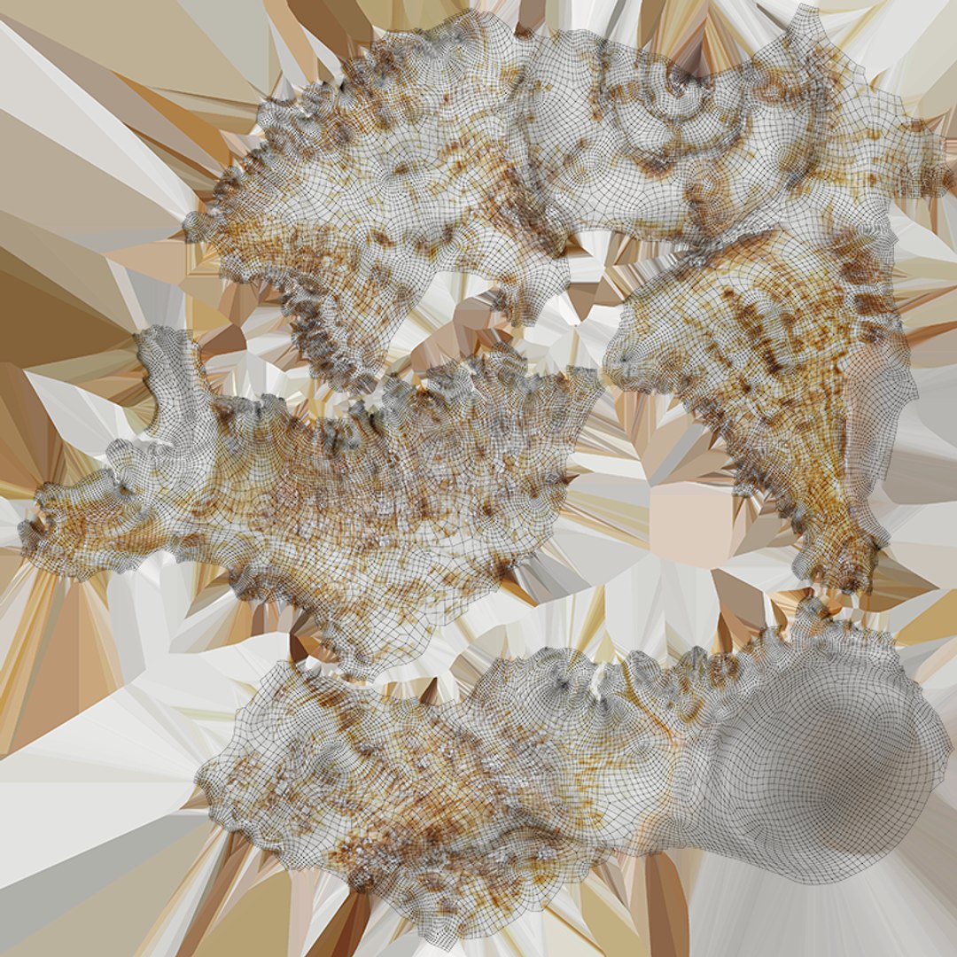 3D Murex Shell 01 - TurboSquid 2408686
