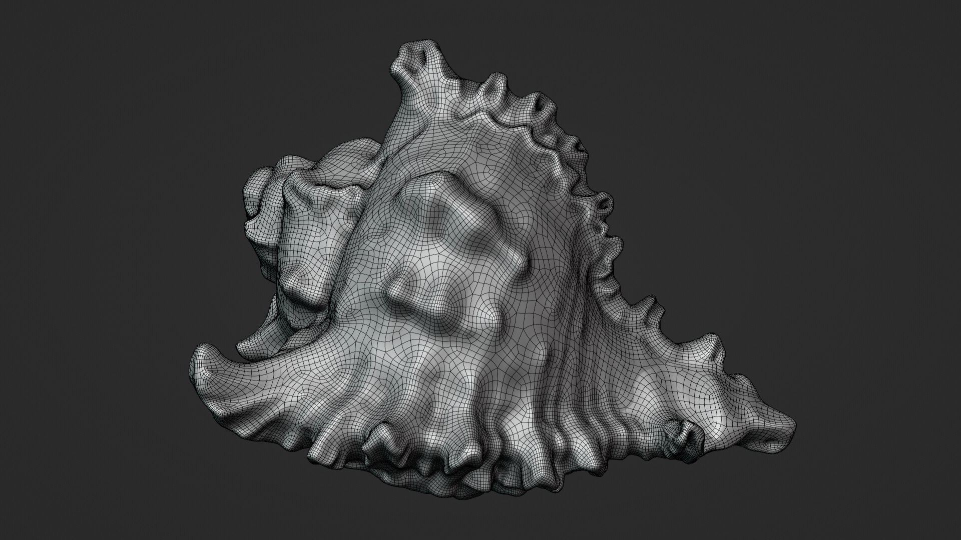 3D Murex Shell 01 - TurboSquid 2408686