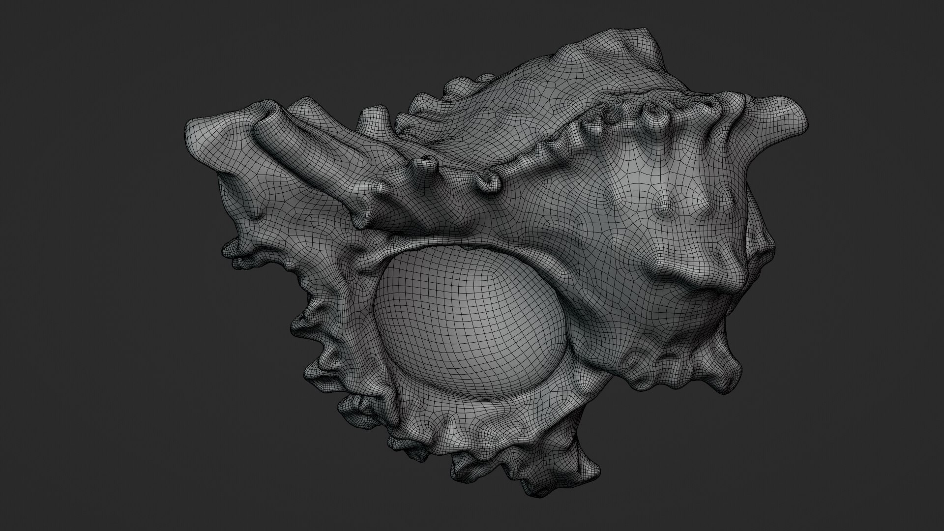 3D Murex Shell 01 - TurboSquid 2408686