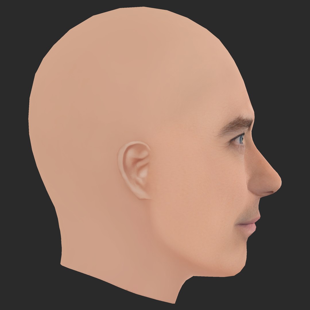 Low Poly Jude Law Head 3D model https://p.turbosquid.com/ts-thumb/3A/bmVUdo/0J/06/png/1785152940/1920x1080/fit_q87/75ff7524b09202cd5c7ef223ccb0c285d22ed647/06.jpg
