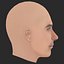 Low Poly Jude Law Head