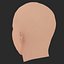 Low Poly Jude Law Head