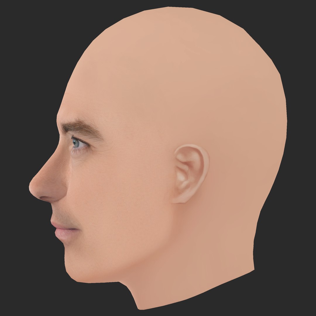 Low Poly Jude Law Head 3D model https://p.turbosquid.com/ts-thumb/3A/bmVUdo/JZ/03/png/1785152937/1920x1080/fit_q87/df3dda7721b9d0daec9cce945eb8a46826ffd8f0/03.jpg