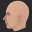 Low Poly Jude Law Head