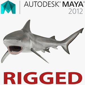 Bull Shark Rigged for Maya