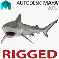 Bull Shark Rigged for Maya