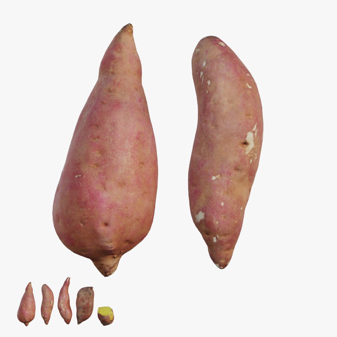 modelo 3d Sweet potato 03 - TurboSquid 1903524