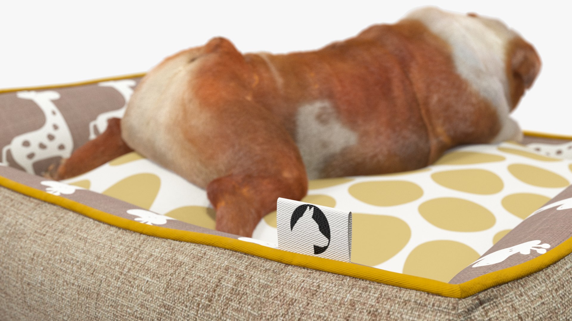 3D Bulldog Sleep in Pet Bed Fur model https://p.turbosquid.com/ts-thumb/3A/fg2M9x/9W/bulldogsleepinpetbedfurvray3dmodel014/jpg/1705872915/1920x1080/fit_q87/a1eb3159781ba5cc72828e6b41de4b3a043a0863/bulldogsleepinpetbedfurvray3dmodel014.jpg