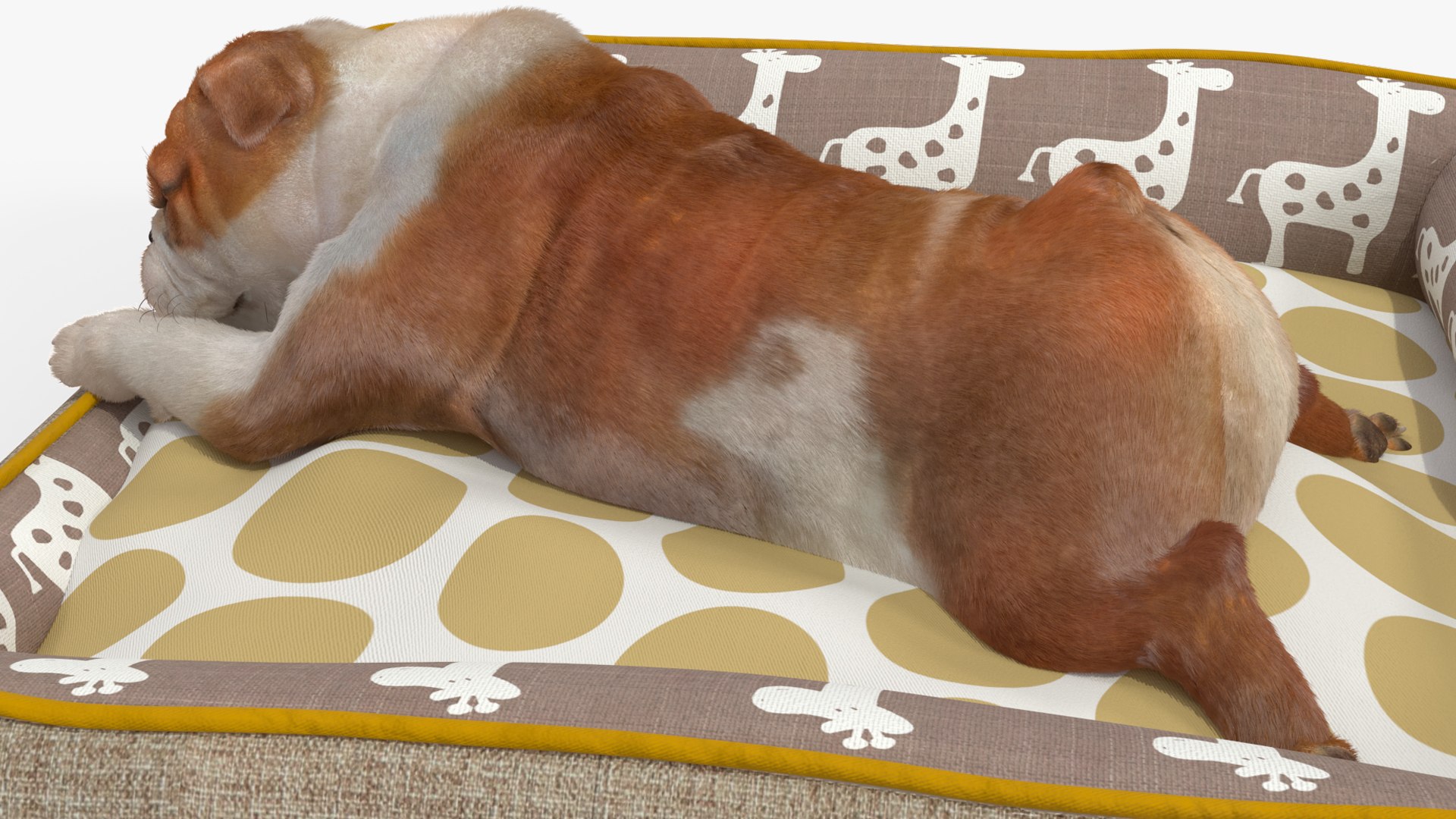 3D Bulldog Sleep in Pet Bed Fur model https://p.turbosquid.com/ts-thumb/3A/fg2M9x/AI/bulldogsleepinpetbedfurvray3dmodel013/jpg/1705872909/1920x1080/fit_q87/fcca6cd4904a70b4dc8f9863b11d72d89b981863/bulldogsleepinpetbedfurvray3dmodel013.jpg