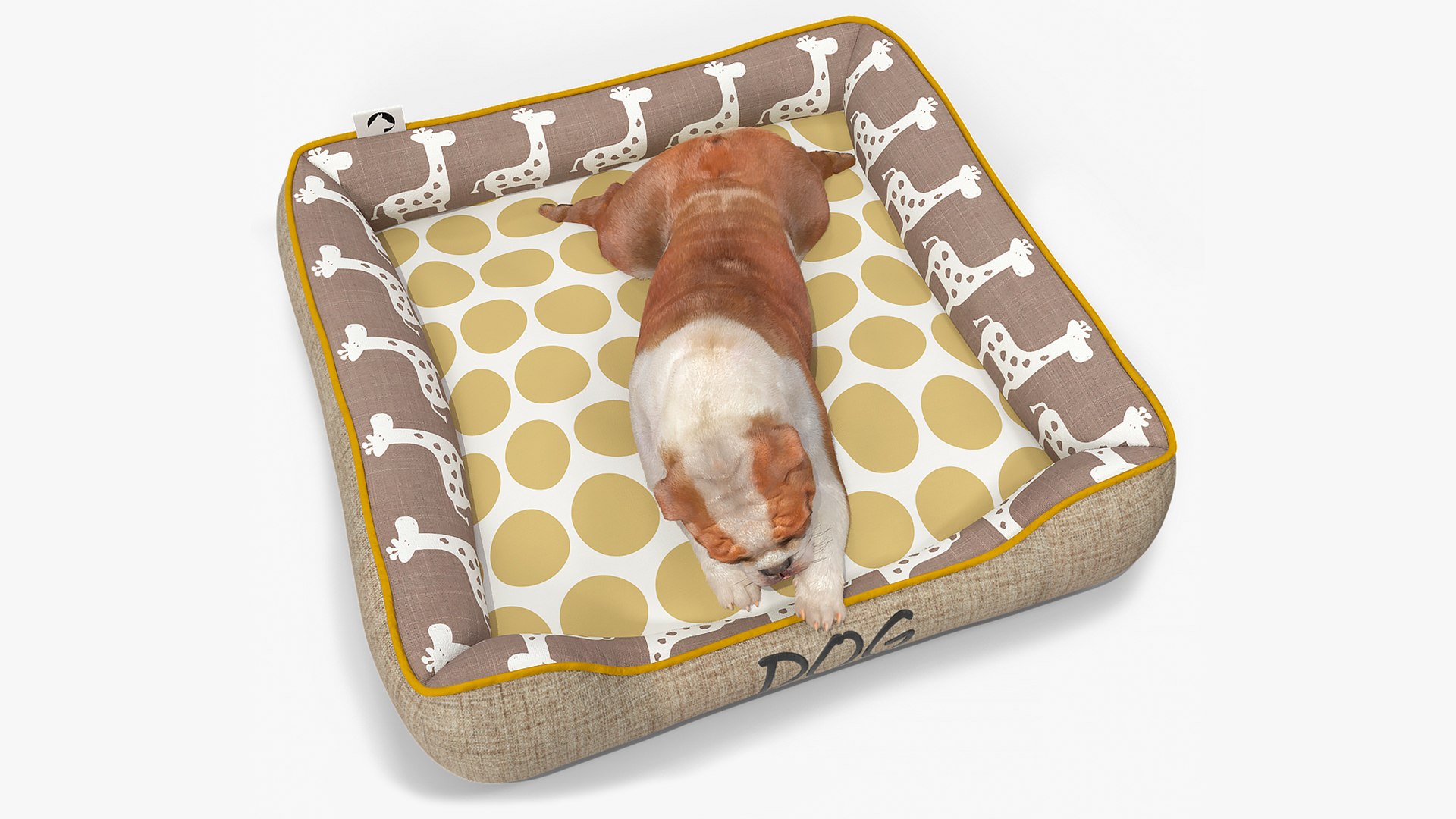 Bulldog Sleep in Pet Bed Fur 3D model preview