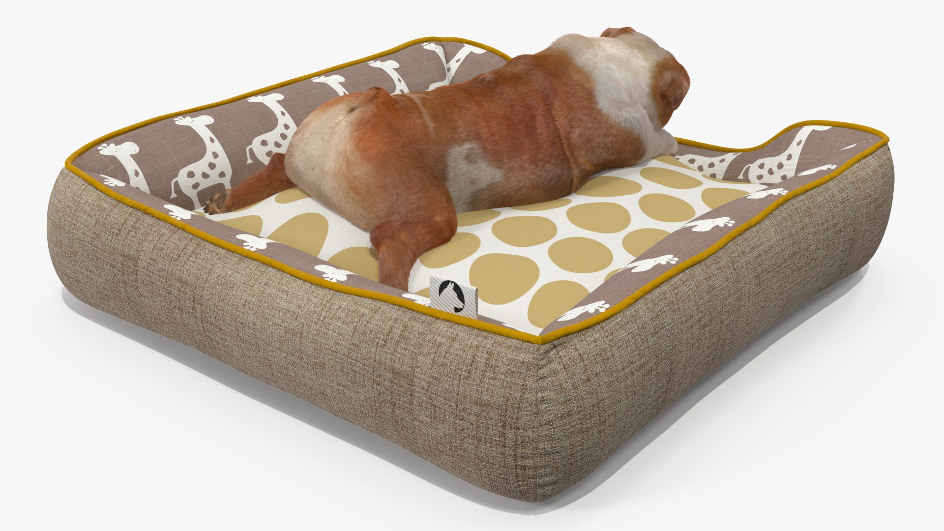 3D Bulldog Sleep in Pet Bed Fur model https://p.turbosquid.com/ts-thumb/3A/fg2M9x/Pk/bulldogsleepinpetbedfurvray3dmodel009/jpg/1705872887/1920x1080/fit_q87/cca95638fac5179dcbe5ae2dcb6de23a7936e8b6/bulldogsleepinpetbedfurvray3dmodel009.jpg