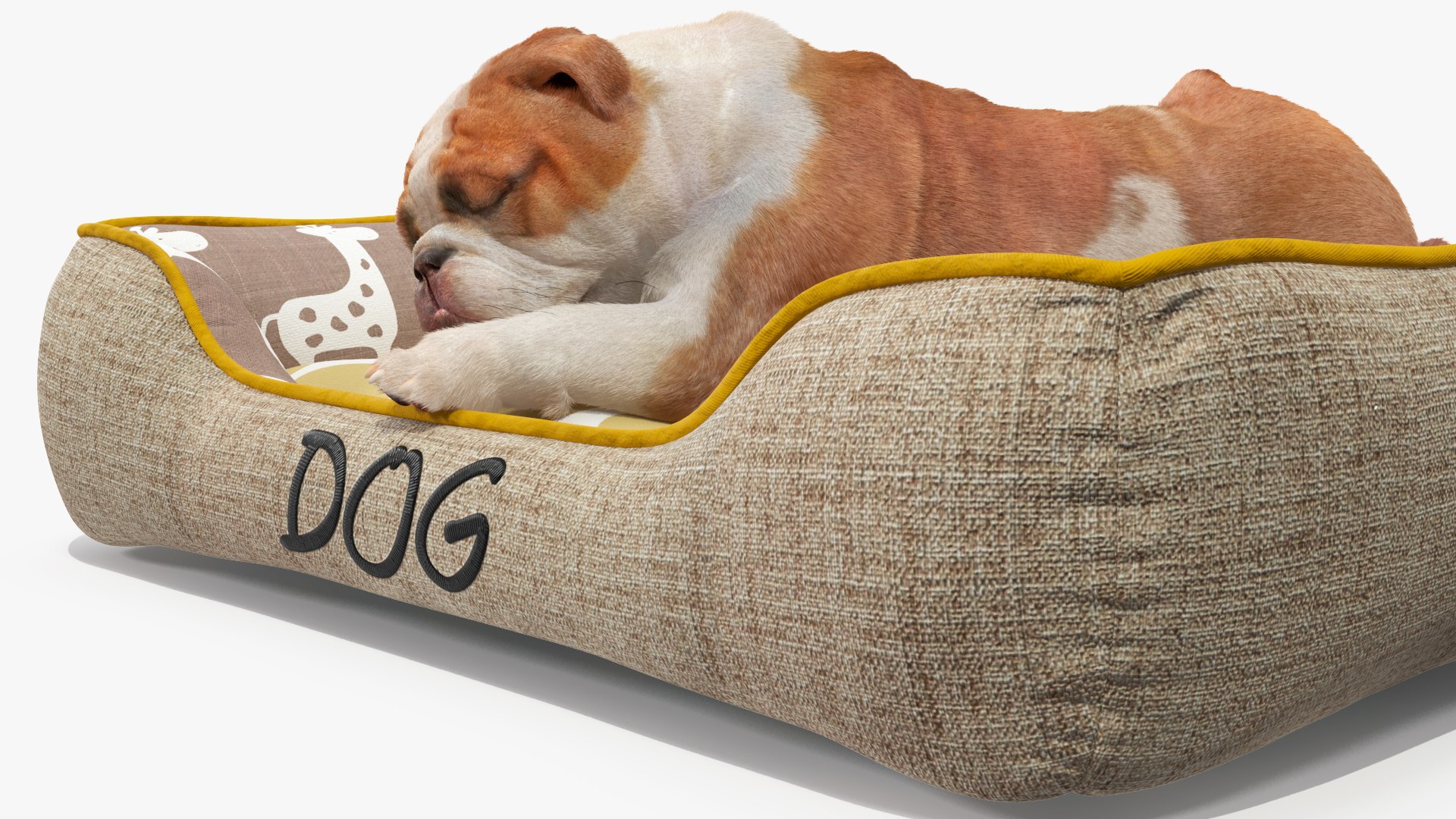 3D Bulldog Sleep in Pet Bed Fur model https://p.turbosquid.com/ts-thumb/3A/fg2M9x/Qd/bulldogsleepinpetbedfurvray3dmodel012/jpg/1705872904/1920x1080/fit_q87/960dd1977e2c488f06b7aa7bf61acd76a839f384/bulldogsleepinpetbedfurvray3dmodel012.jpg