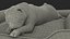 Bulldog duerme en piel de cama para mascotas